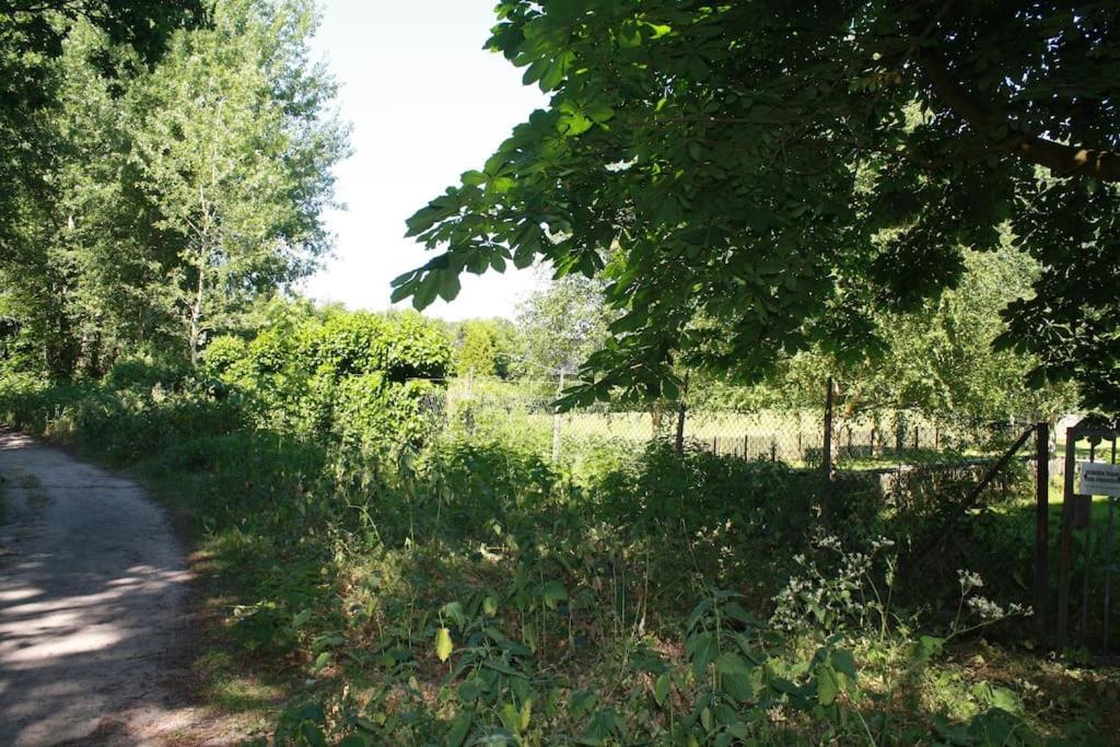 De Bosrand Grenzend Aan Het Bos Villa Castricum Exterior photo